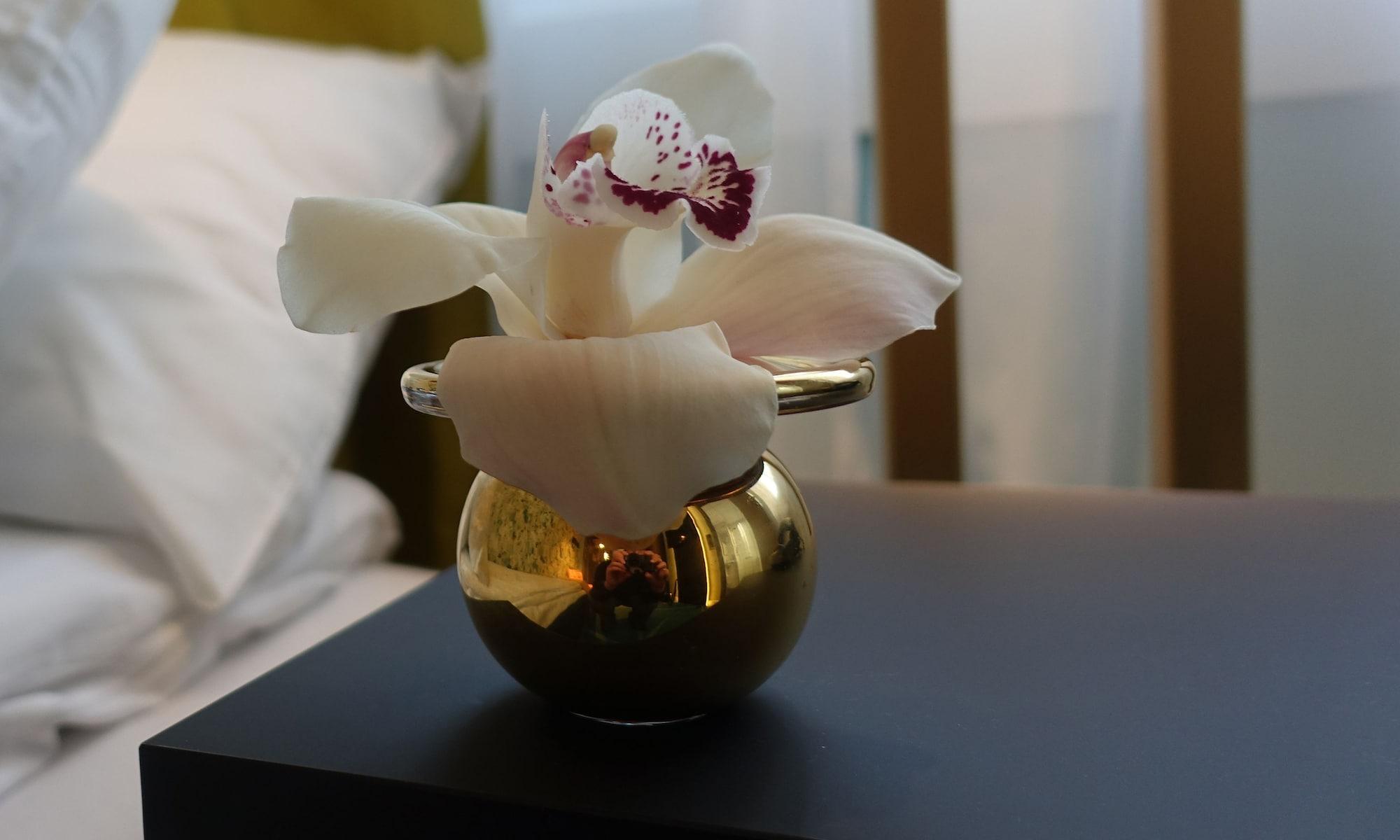 Thon Hotel Lofoten Свольвер Экстерьер фото